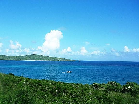 lot out to Buck Island