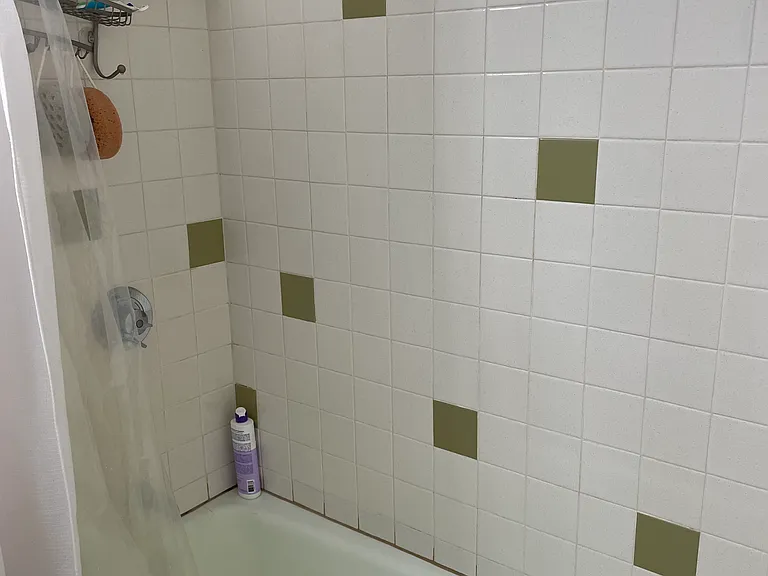 102 Alpine St #5 — Photo 7