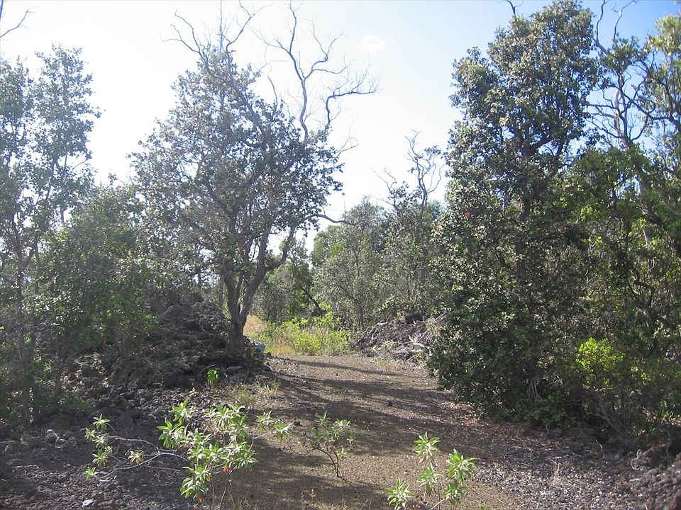 1st image of Lotus Blossom Ln Lot 24