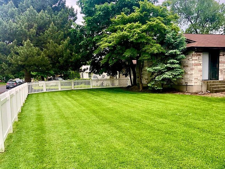 Large front yard; landscaping services provided by owner
