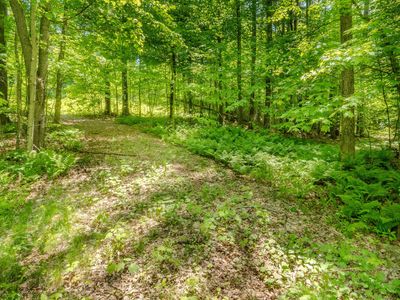 971 South Road, Bethlehem, NH, 03574