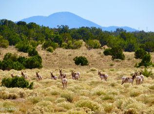 5818 S Quivero Rd #286B, Williams, AZ 86046