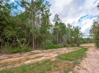 8100 High Meadow Ridge Ct, Montgomery, TX 77316