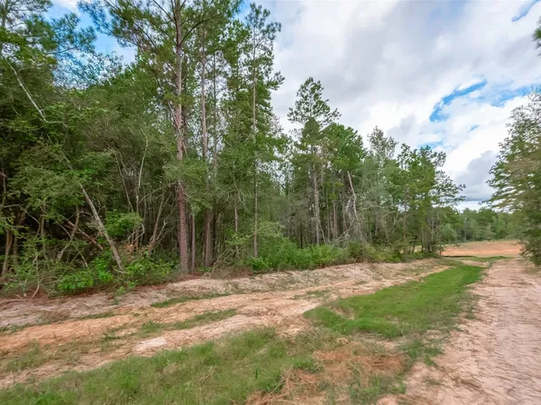 8100 High Meadow Ridge Ct, Montgomery, TX 77316