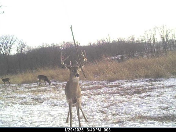 2nd image of 2 County Road 525 N