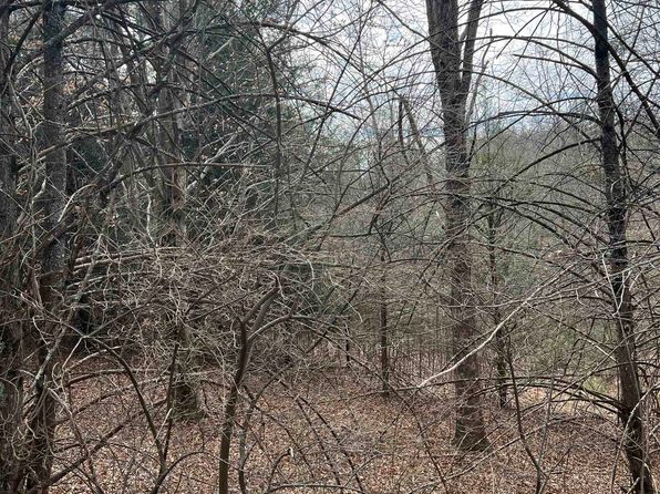 Tbd Cold Springs Rd, Raphine, VA 24472