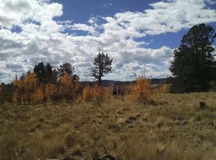 521 Muir Woods Trl, Hartsel, CO 80449