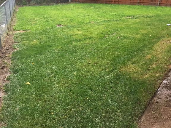 Side Yard