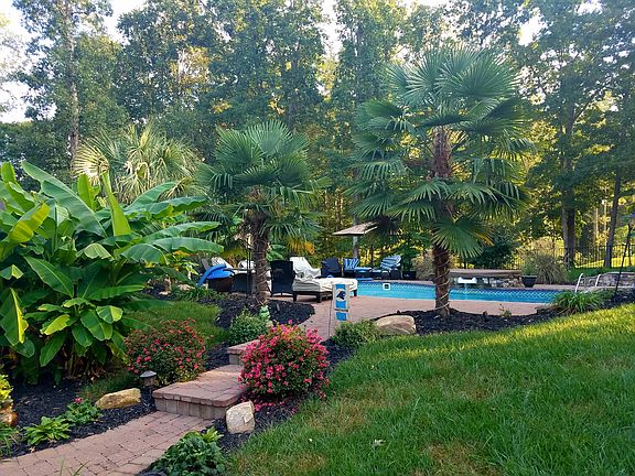 Backyard oasis