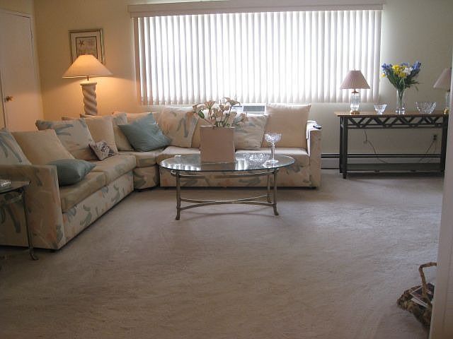 Light & Bright Living Rm with neutral crpt, verticals & wall A/C