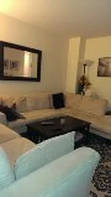 Rented by Manhattan Apartment Organization | media 40