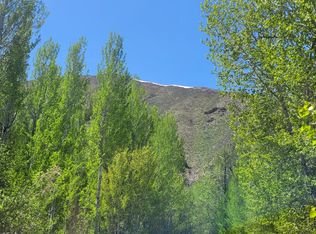 341 W Cedar St, Hailey, ID 83333