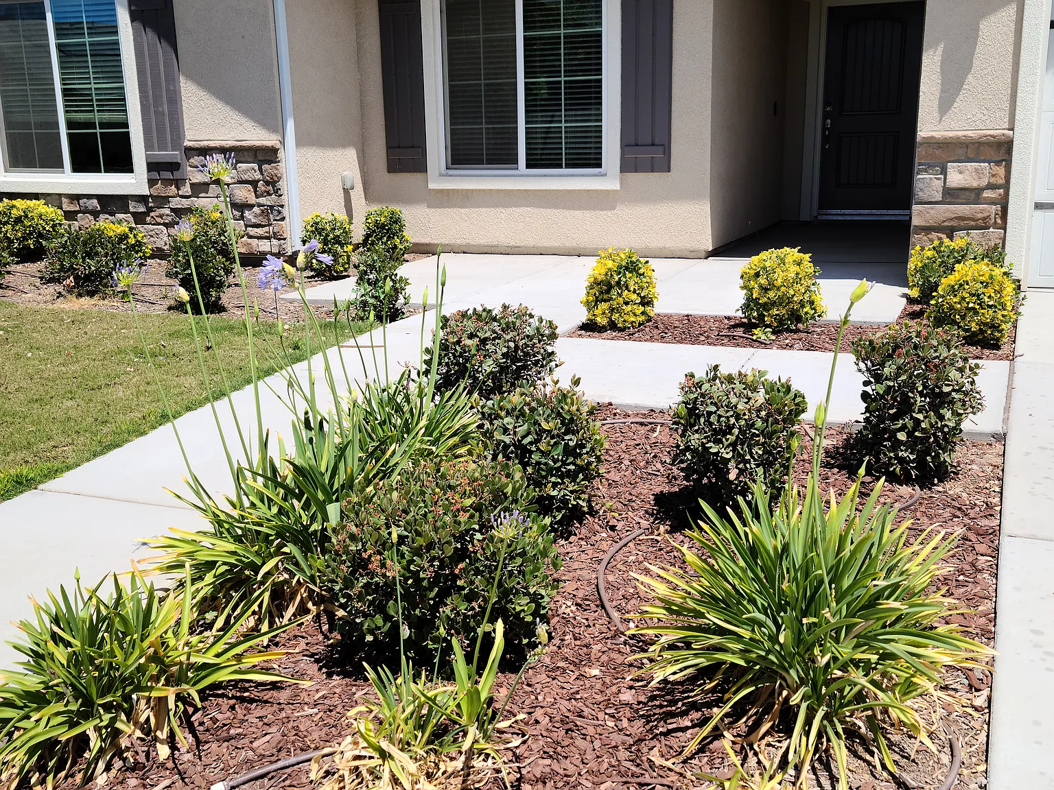 4 bed, 2000 sqft, $2,600 — Photo 4