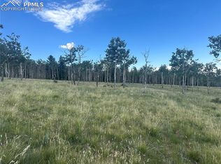 County Road 863, Victor, CO 80860