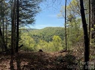0 Green River Rd, Zirconia, NC 28790