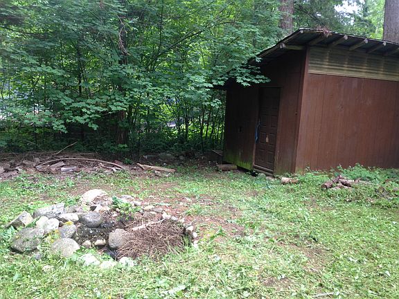 back yard