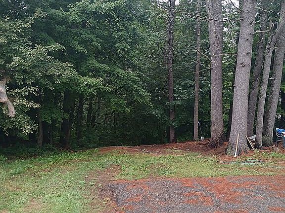 3rd image of 19 Holly Tree Cir