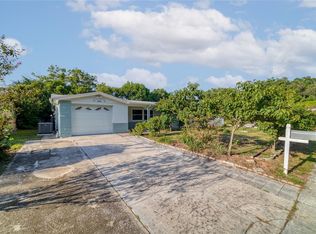 5339 Skyland Dr, Holiday, FL 34690