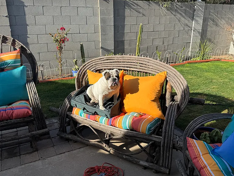 Landscaped and fenced in yard along with outdoor furniture and BBQ. Bulldog is not included in the rental but you can certainly bring yours if approved.