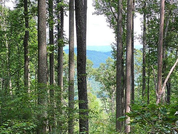 5th image of LOT 1 High Country Lane