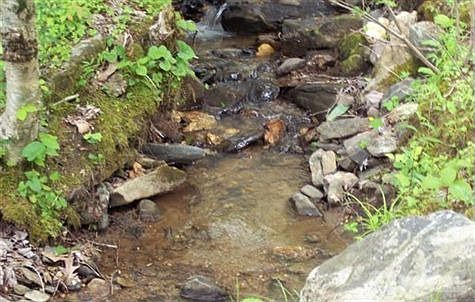 Audible Brook Thru Property