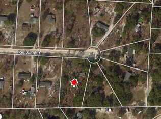4531 Redwing Ct, Middleburg, FL 32068