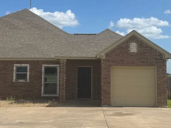 203 Walker Ln, Millsap, TX 76066