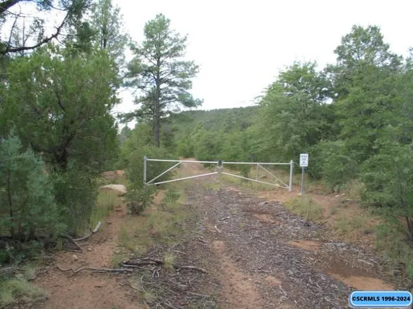 20 Mystic Way, Pinos Altos, NM 88053