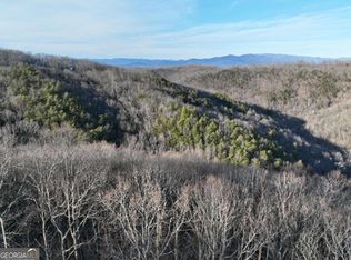 249 Andes Rdg, Ellijay, GA 30536