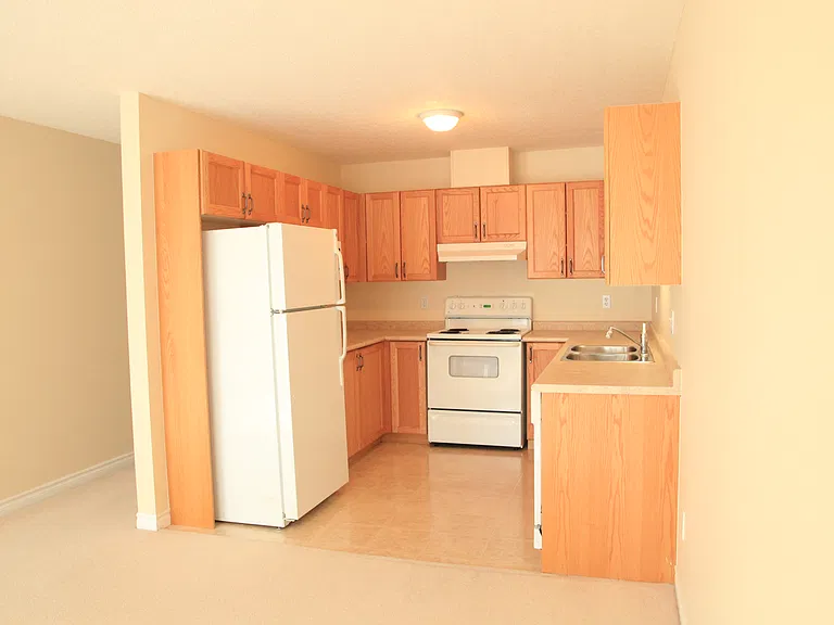 619 Wild Ginger Ave — Photo 29