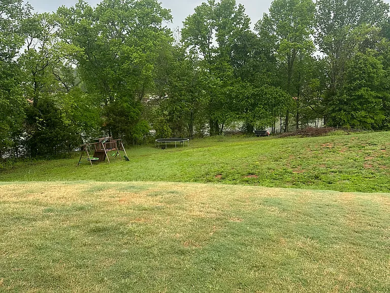 344 Sadie Mae Dr — Photo 4