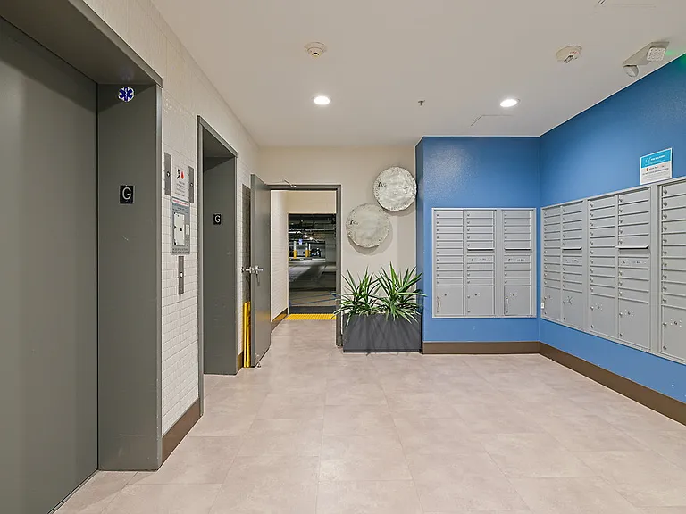 Avery — Photo 29