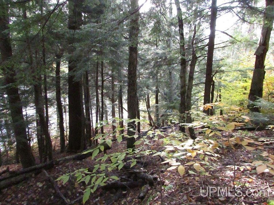 W Sister Lake Rd LOT J, Wetmore, MI 49895 Zillow