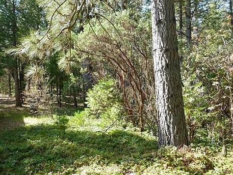 3rd image of 59511 Cascadel Dr