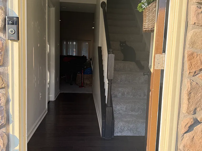 Ravenwood Dr — Photo 3
