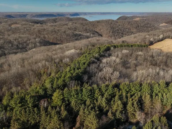 58694 Oak Grove Ridge Road, Eastman, WI 54626