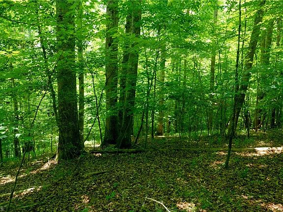 4th image of 16 Roby Fulk Rd Lot 16