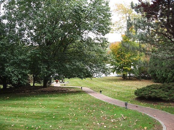Walk to lake from House