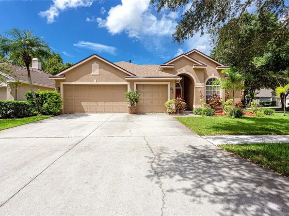 10132 Downey Ln, Tampa, FL 33626