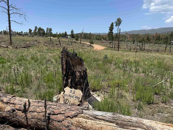 53 Coshacion Dr, Timberon, NM 88350