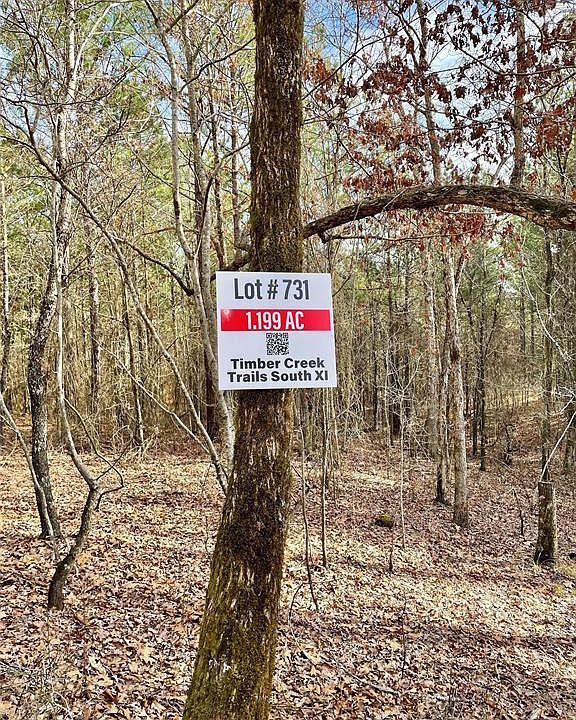 2nd image of 731 Timber Creek Trl