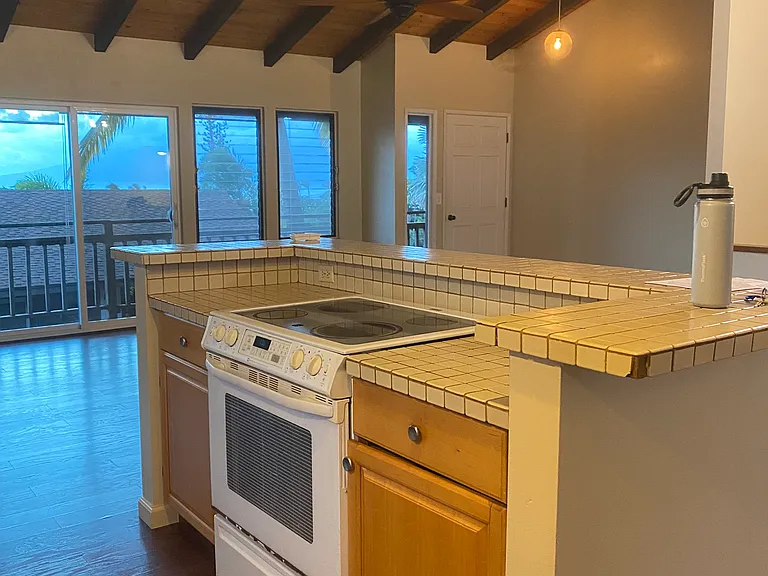 3882 Mahinahina St — Photo 10