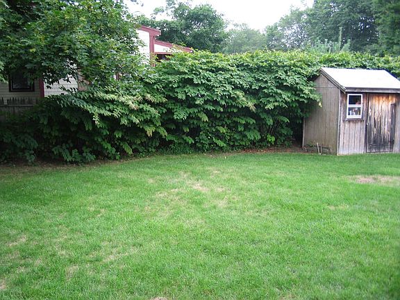 Yard and storage shed