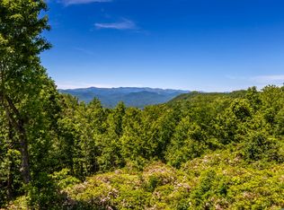 223 Wodigeasgohi Dr, Brevard, NC 28712