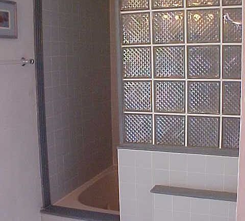 Jet tub/shower in MBath