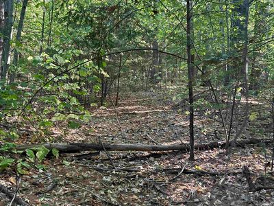 NH Route 175, Campton, NH, 03223