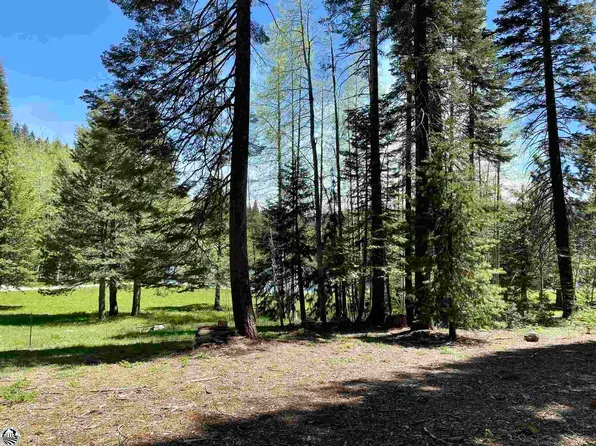 33927 Leland Meadow Rd, Strawberry, CA 95335