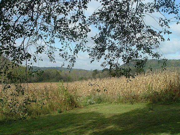 Looking west from site