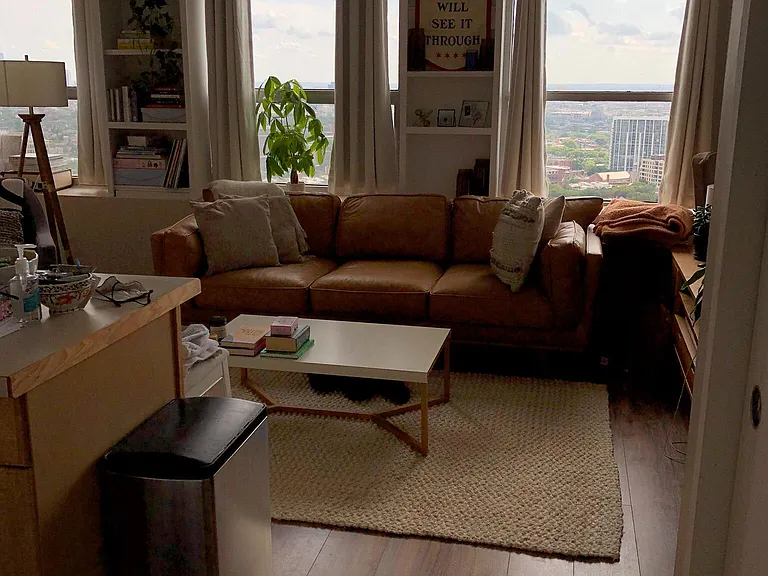 2626 N Lakeview Ave #3710 — Photo 16