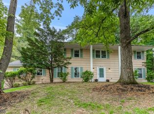 11 Sunderland Dr, Morristown, NJ